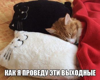 Как провести выходные