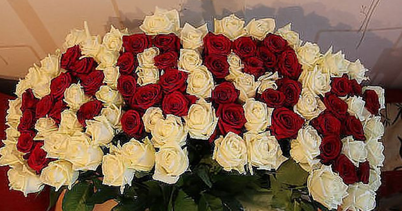 какие цветы подарить маме